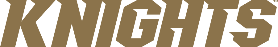 Central Florida Knights 2016-2017 Wordmark Logo DIY iron on transfer (heat transfer)